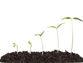 Untitled design (25)